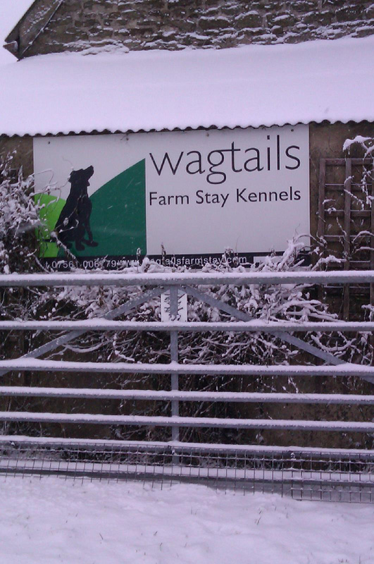 Wagtails Farm Stay Kennels in Stanley, County Durham