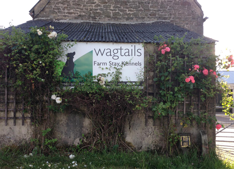 Wagtails Farm Stay Luxury Kennels in Stanley, County Durham